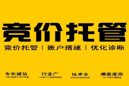 百度推广全攻略：成功案例剖析